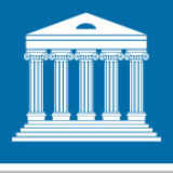 Image icon